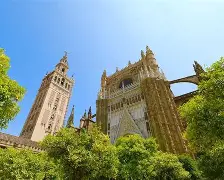 赛后塞维利亚调整名单以备CBA常规赛窗口期里昂备战欧冠,清晨临场应变引欢呼都惊呆了的简单介绍-一竞技